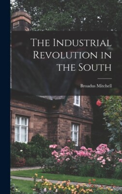 The Industrial Revolution In The South