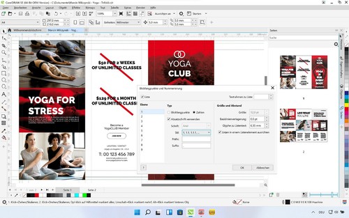 CorelDRAW Graphics Suite Special Edition 2021 OEM Win10/11 Dauerlizenz, Download - Bild 3 von 6