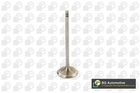 BGA Einlassventil V090102 FüR E91 E90 E61 E60 Z4 BMW E83 X3 E85 5Er Touring 3Er