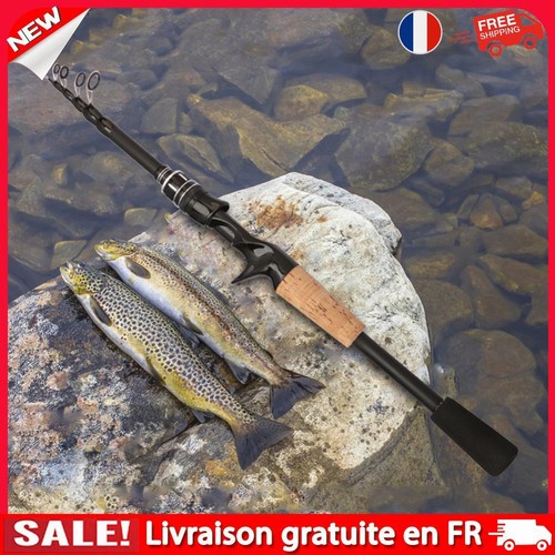 fr Canne à pêche télescopique Baitcasting pour truite carpe (poignée de pistolet