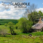 Foto 6 di 6