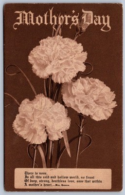 K39/ Interesting Postcard c1910 Mother's Day Holiday Mother Flowers 418