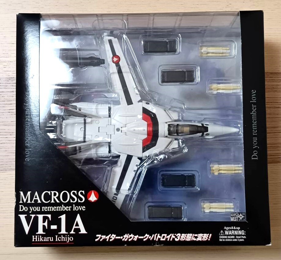 Macross Robotech Valkyrie VF-1A 1/60 Ichijo Hikaru New + Armored