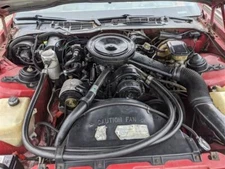 Distributor 6-173 California Fits 83-84 BLAZER S10/JIMMY S15 818681