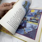 Bild 8 von 9