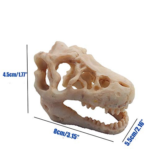 Resin Dinosaur Skull Aquarium Ornament Mini Tank Decoration Beige - Picture 4 of 7