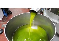 olio extravergine di oliva 5 litri  2025/2026
