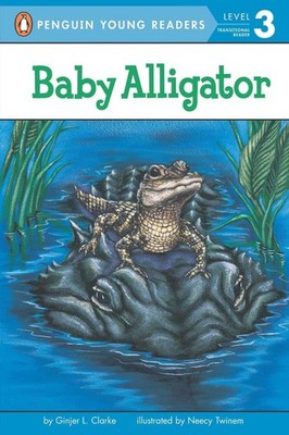 Baby Alligator by Ginjer L. Clarke (English) Paperback Book