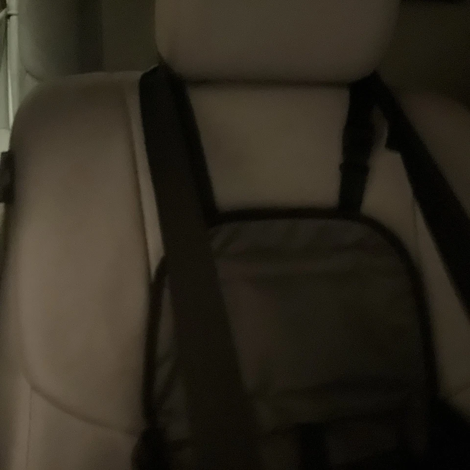 Top Paw 汽车加高座椅 适用于从未使用过的小狗,带手提箱 易于使用 — 第 3/4 张图片