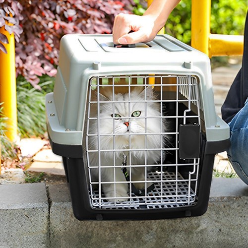 Large Portable Pet Carrier Box with Door/Handle Cat Dog Carry Basket Transporter