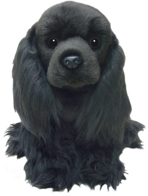 black cocker spaniel teddy