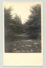 Newagen, Maine ME ~ The Lane  REAL PHOTO 