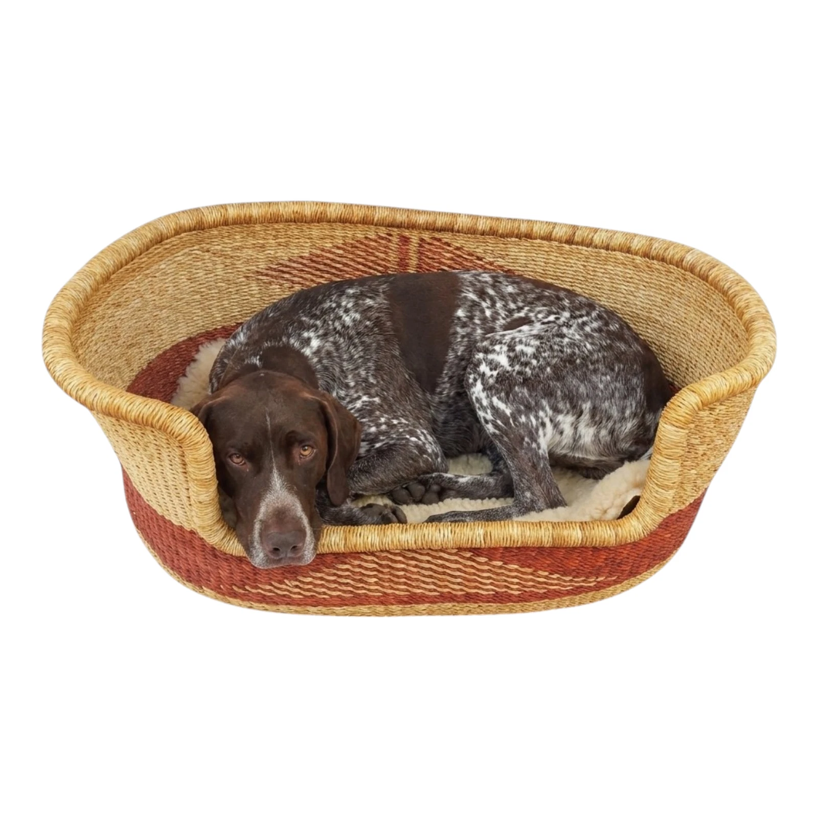 Bolga Dog Bed Basket - Natural Handwoven Elephant Grass Pet Bed - Large African
