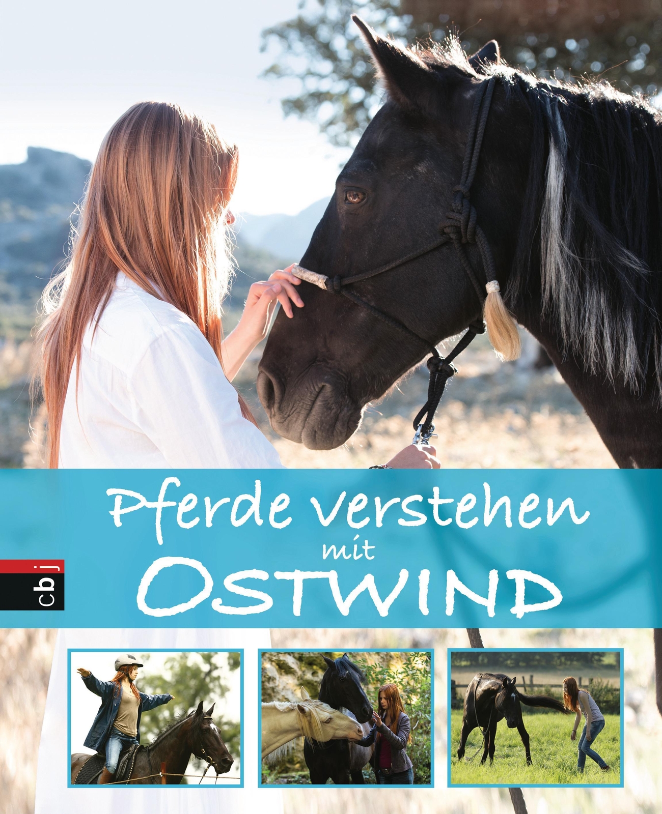 Thumbnail - Pferde Verstehen Mit Ostwind Almut Schmidt