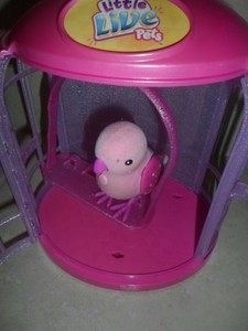 little live pets cleverkeet pink