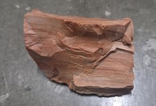 Arizona Petrified Wood Triangular Rock - 156 g/5.5 oz Rough Lapidary Material