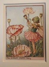 Shirley Poppy Fairy Vintage Flower Fairies Print & Mount Cicely Barker c1930s