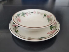 Villeroy & Boch "Palermo" Ceramic Plate & Bowl Set