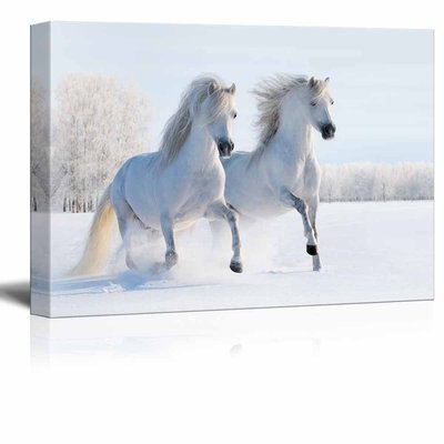 Canvas Prints- Two Galloping White Welsh Ponies/Horses on Snow Field - 24'' x 36''