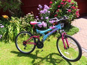 dunlop girls bike
