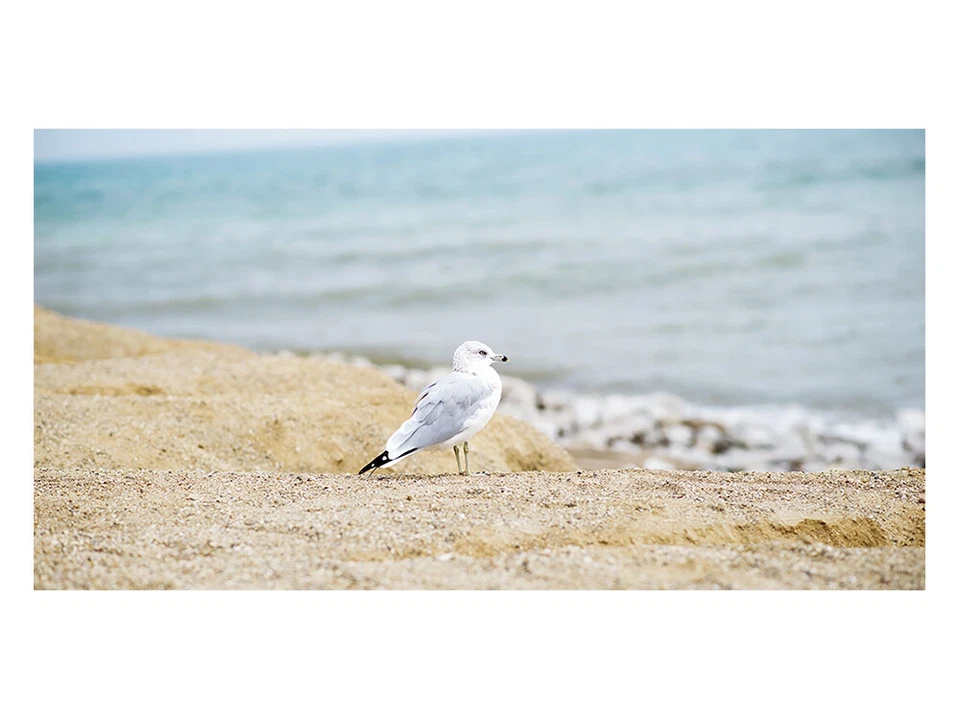 Fensterfolie Wellness - Sichtschutzfolie Maritim - Klebefolie Fenster Strand - Bild 3 von 4