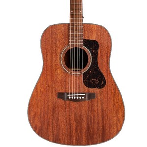 Guild D-25 | eBay