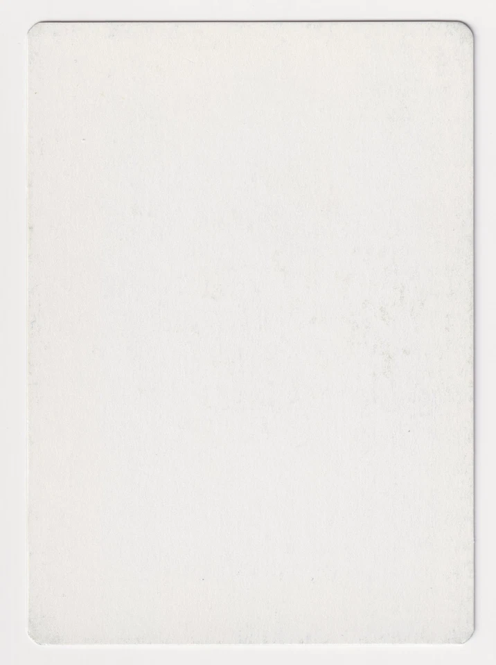 Signed Reclamation Proof LP Ice Age Artist Dameon Willich 1995 MTG Magic AP Rare - Image 2 of 2