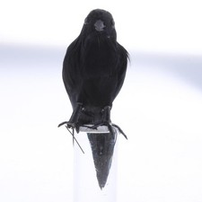 Fake Artificial Crow Bird Feathered Realistic Garden Home Decor Ornament