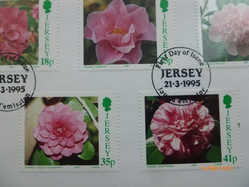Jersey Stamps 1995 Set of 10x FIRST DAY COVERS / DEFINITIVE ISSUE / Unaddressed - Picture 12 of 19