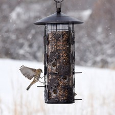 Garden Treasures Steel Bird Feeder Accessory For Sale Online Ebay