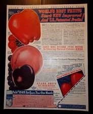 1936 Stark Bro's Nurseries Advertisement Louisiana, MO.