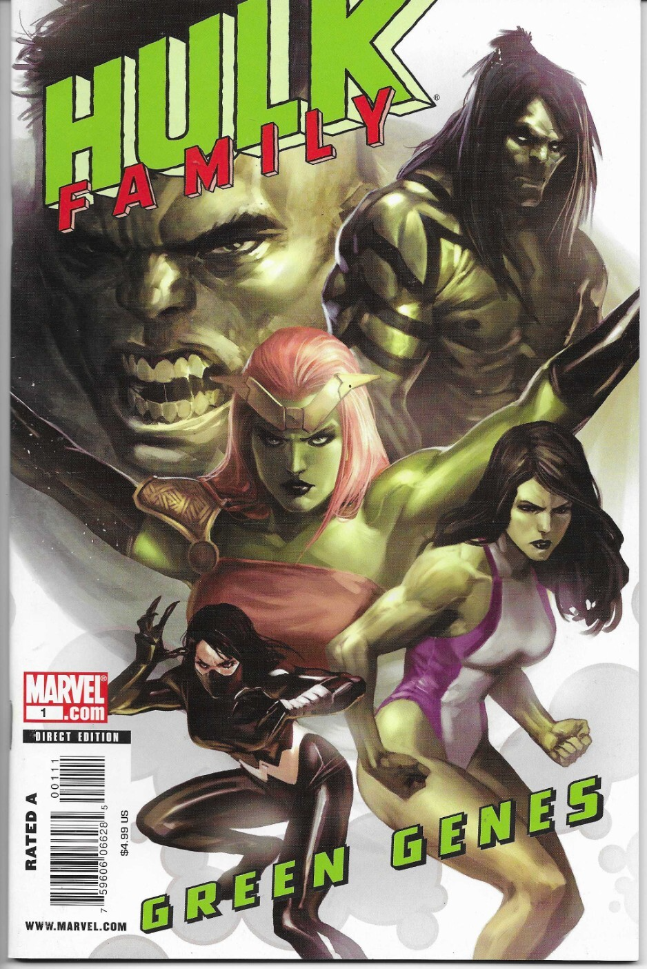 HULK FAMILY (2009) #1 - Back Issue (S)