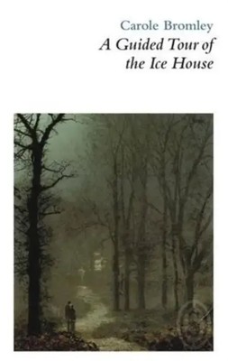 A Guided Tour of the Ice House | Carole Bromley | Englisch | Taschenbuch | 2011