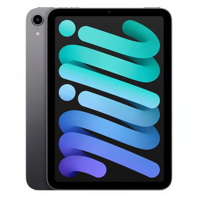 Apple iPad mini 6.Gen 256GB Wi-Fi + 4G  Space Grau Gut Generalüberholt