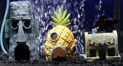 cheap fish tank accessories online but good quality Mechpia 13 Pieces Aquarium Decorations Kit, Decorations Set Small Resin Castle and Rockery Betta Fish Cave Hideout Coral Artificial Plastic Plants Ornament : Pet Supplies Crappie fishing easy to clean Rod Length:5' Custom Design and Build