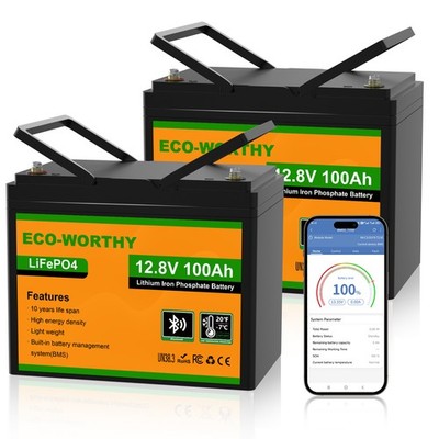 12V 200AH (2 Pack 100AH ) Bluetooth LiFePO4 Lithium Batterie Akku BMS für Boot