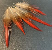 5pcs 6-9cm Natural Red Lady Amherst Pheasant Feathers DIY Craft Millinery Boho