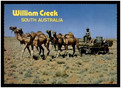 Postcard RPPC - William Creek, South Australia