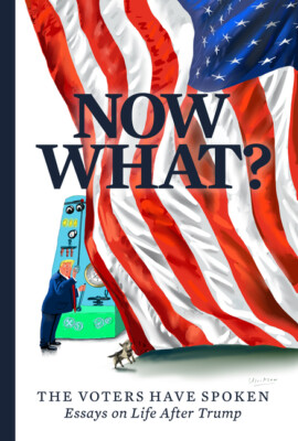 Now What?: The Voters Have Spoken--Essays On Life After Trump