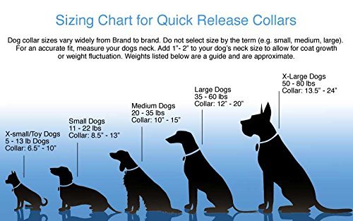 Small Dog Collar Size Chart