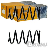 2X Spidan Fahrwerksfedern Hinten Passend FÜR Fiat Punto Links+Rechts