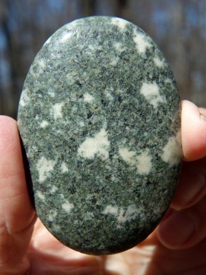 Preseli Stone / Preseli Bluestone Palm Stone Gallet