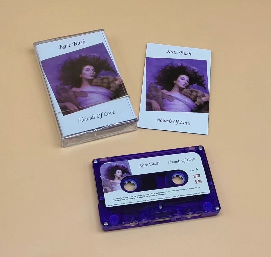 Kate Bush Hounds of Love Retro Album MUSIC song Tape Sealed