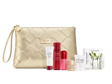 Shiseido Benefiance Wrinkle Smoothing Gift Bag