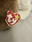 Ty Beanie Buddies Buddy TRACKER - Basset Hound Pup Dog Plush Tan 1998 — photo 7