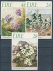 XE59687 Ireland 1988 flowers nature maxicards unused