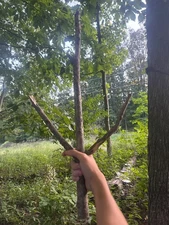 Awesome sword I found in the woods (super cool)