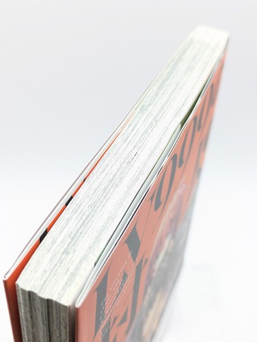 Villager of Level 999 Vol. 1 First Print w/ Obi Japanese Manga Comic - Picture 6 of 11
