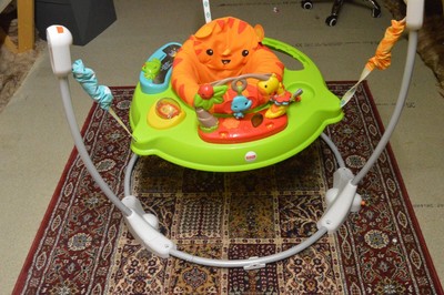 rainforest jumperoo ebay