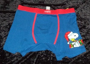 charlie brown underwear - Main Image